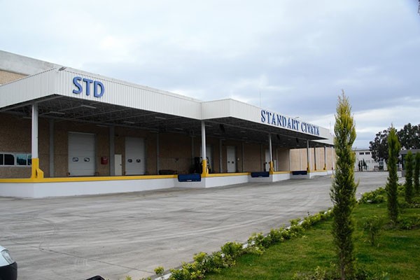 Standart Cıvata